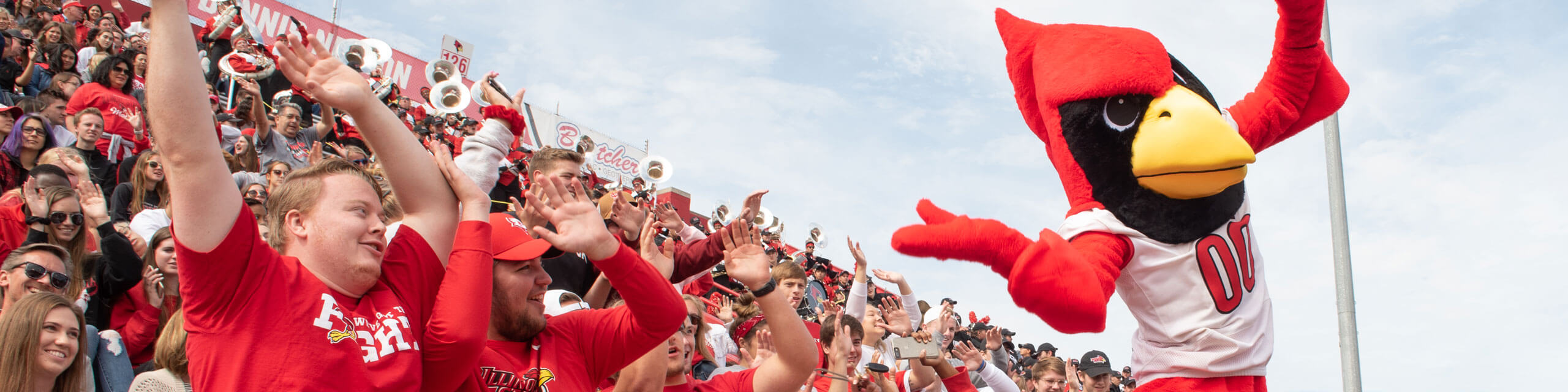 Reggie Redbird at a football game.