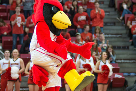 Reggie Redbird dances during a basketball game.