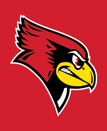 Apple Watch Background: Reggie Redbird head over a red background