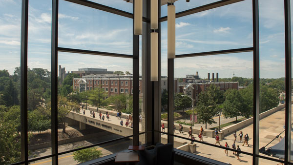 Zoom Background: View from Milner overlooking the bridge over College Avenue