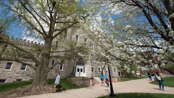 Zoom Background: Cook Hall